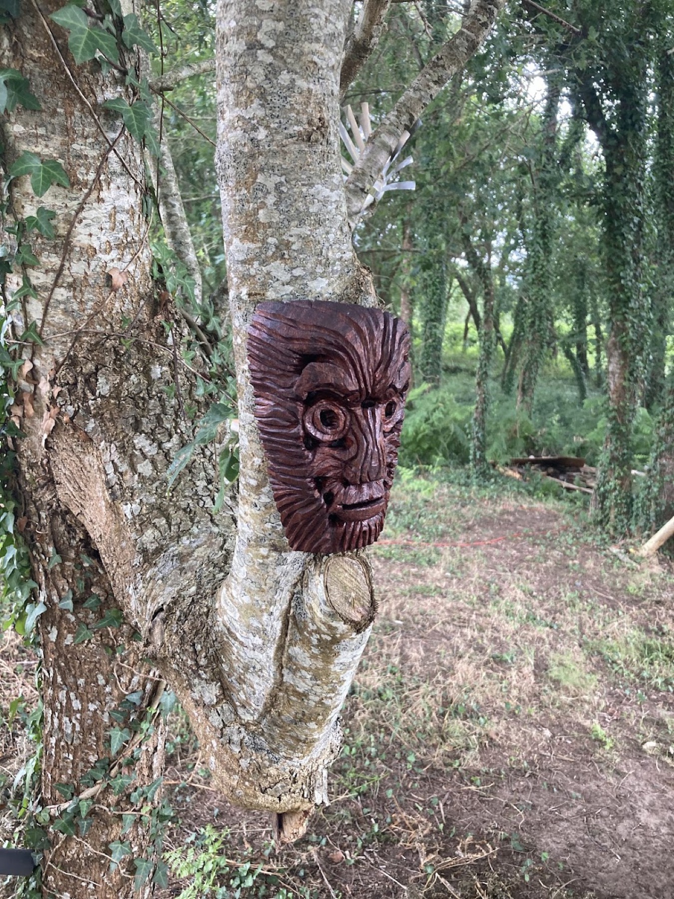 Wood & Sculpture